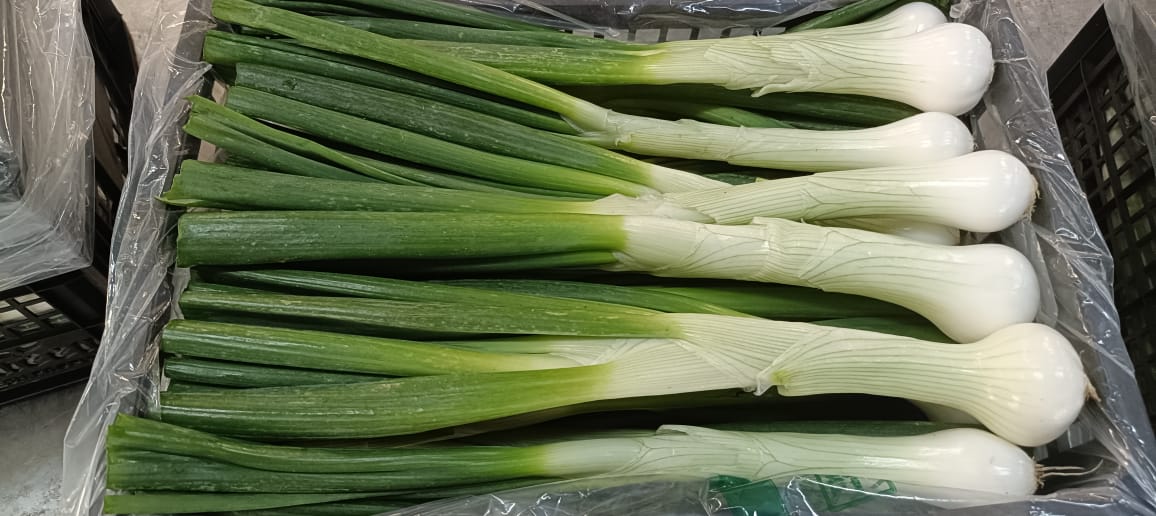 صورة واتساب بتاريخ 2025-11-10 في 17.38