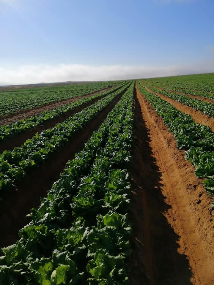 صورة واتساب بتاريخ 2025-11-11 في 20.06