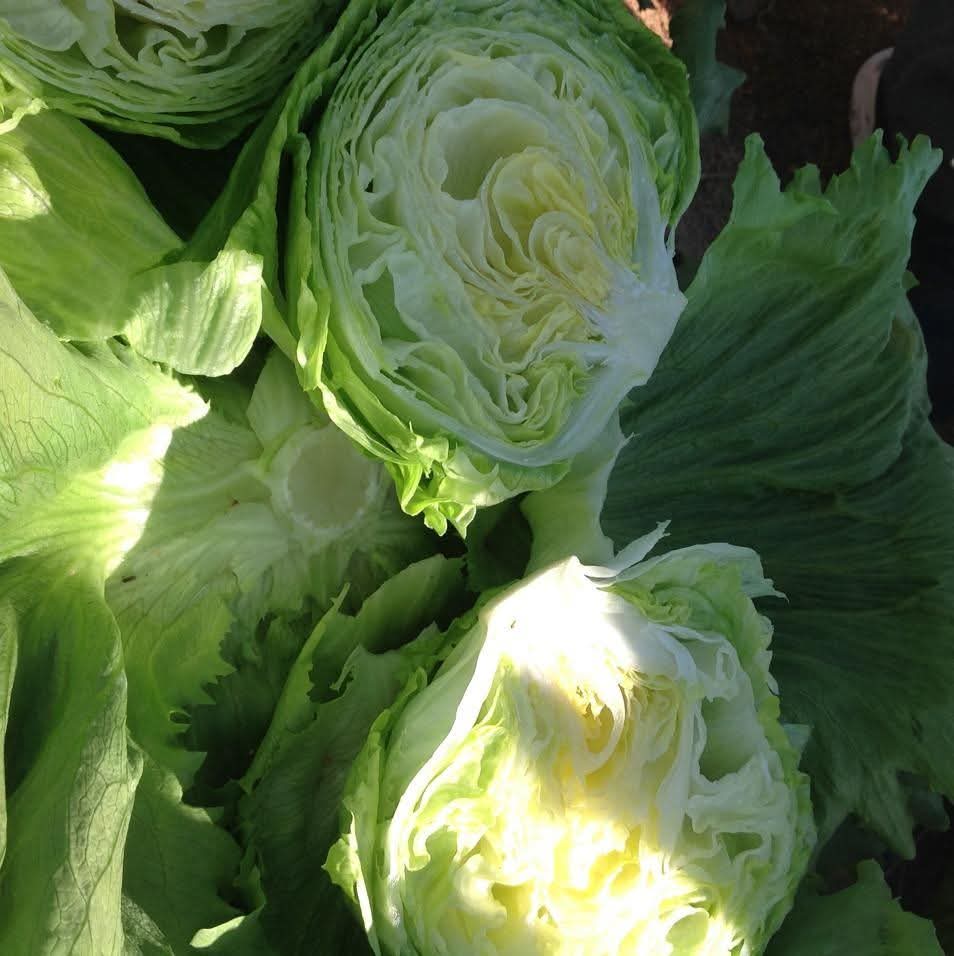 صورة واتساب بتاريخ 2025-11-11 في 20.16